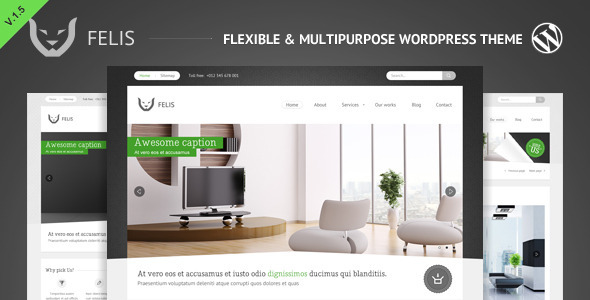 [Image: Felis-WP_theme-preview.__large_preview.jpg]
