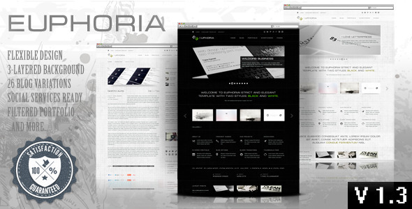 Euphoria - Wordpress Premium Theme - Corporate WordPress