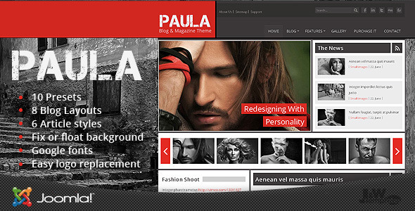 Paula - Blog & Magazine Joomla Theme - Blog / Magazine Joomla