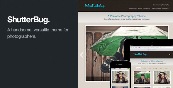 ShutterBug: Responsive Photography WordPress Theme - Photography Creative