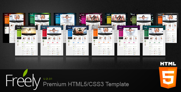 Freely Premium HTML5/CSS3 Template - Business Corporate