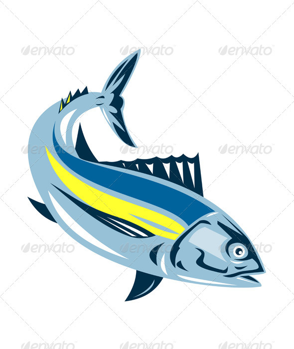 clipart tuna fish - photo #39
