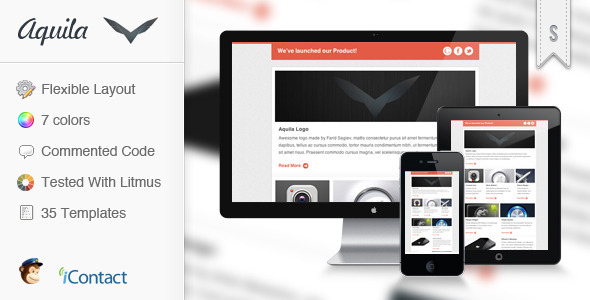 Aquila - Flexible E-mail Newsletter - Newsletters Email Templates