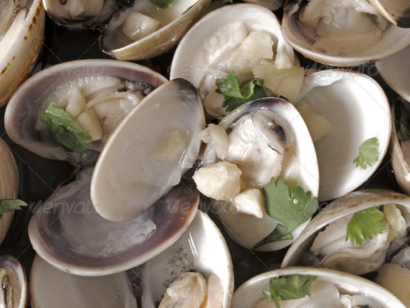 white clams in white wine sauce