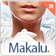Makalu Business and Portfolio WP Theme - ThemeForest Item for Sale