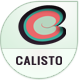 Calisto - Responsive WordPress Theme - ThemeForest Item for Sale
