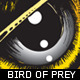bird-of-prey-illustration-ioshva