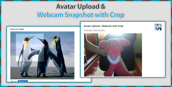  Avatar Upload & Webcam with Crop - CodeCanyon Item for Sale