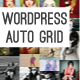 Auto Grid Responsive Gallery - WordPress - CodeCanyon Item for Sale