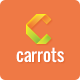 Carrots - PSD Template - ThemeForest Item for Sale