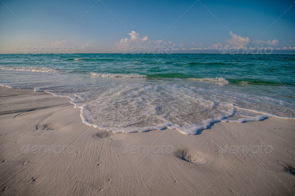 beach and tropical sea scene at gulf of mexico, florida side