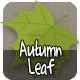 Autumn Leaf - CodeCanyon Item for Sale
