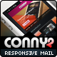 CONNY2 - Responsive Email Template - ThemeForest Item for Sale