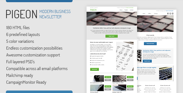 PIGEON - Business Email Template - Newsletters Email Templates