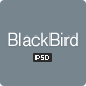 BlackBird - Multi Purpose PSD Template - ThemeForest Item for Sale