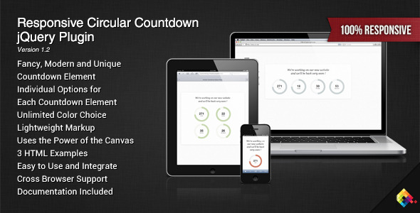 Circular Countdown jQuery Plugin image