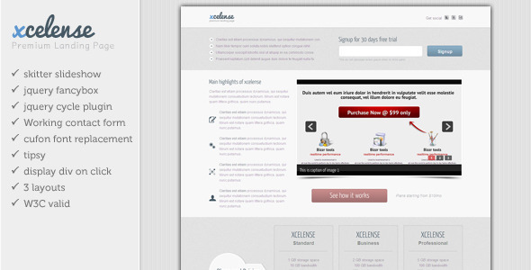 Xcelense Landing Page - Marketing Corporate