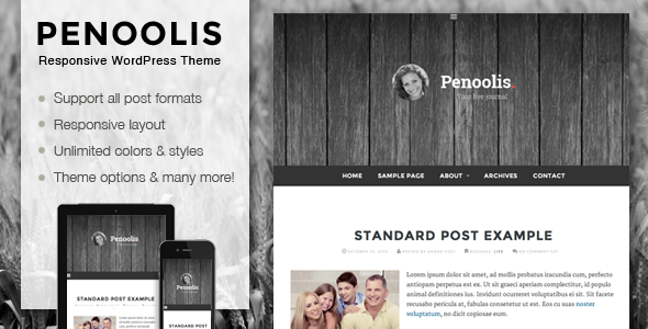 Penoolis - Responsive WordPress Blog Theme - Personal Blog / Magazine