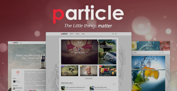 Particle - WP Magazine Theme - News / Editorial Blog / Magazine