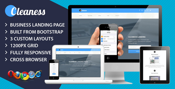 Cleaness Responsive Business Landing Page - Business Corporate