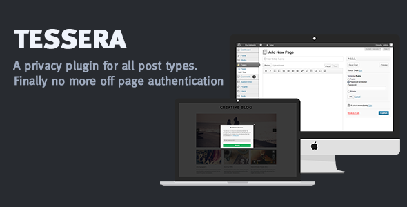 Tessera - a privacy plugin for all post types - CodeCanyon Item for Sale