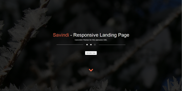 Savindi - Responsive Landing Page - Charity Nonprofit