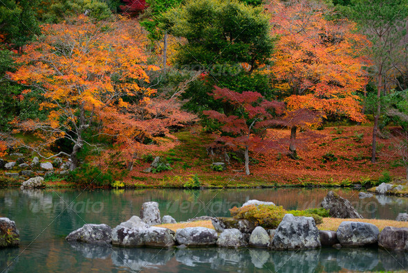 Colorful foliage in the autumn park and japan style pond.