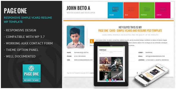 Page One - Responsive Vcard CV Resume WP Theme - Personal Blog / Magazine