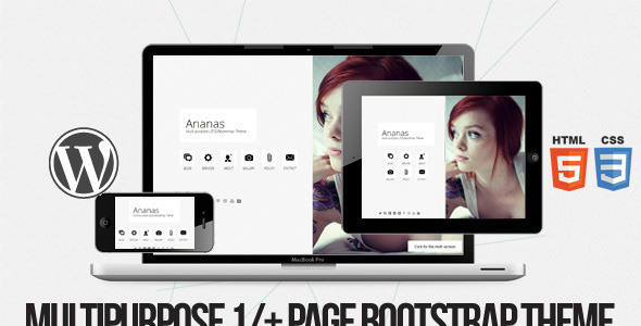 WordPress theme Ananas - Multi purpose 1/+ page Bootstrap Theme (Creative)