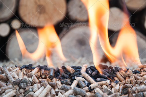 Pine and sunflower pellets in flames- stock image