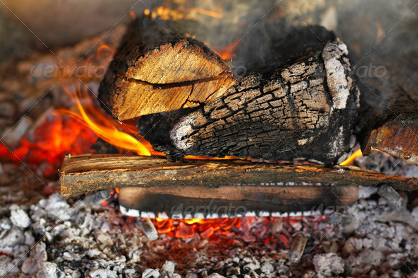 Wood log fire in fireplace