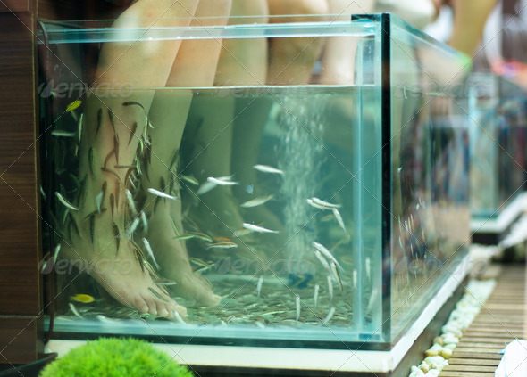 Exotic foot massage in aquarium