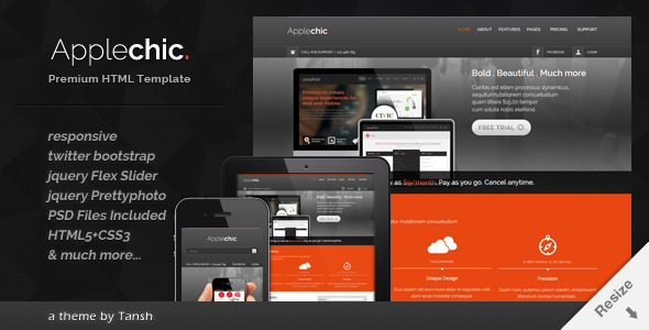 Applechic Responsive Software HTML Template - Software Technology