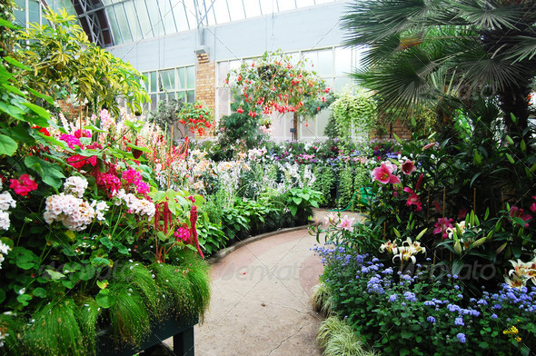 Plants at greenhouse