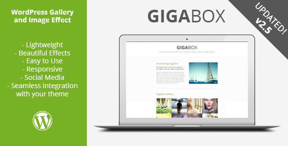 Gigabox - Responsive WP Gallery/Image Effect - CodeCanyon Item for Sale